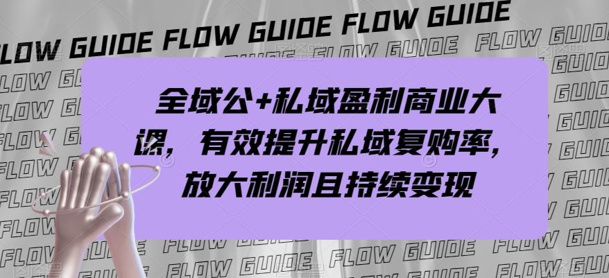 全域公+私域盈利商业大课，有效提升私域复购率，放大利润且持续变现-有道资源网