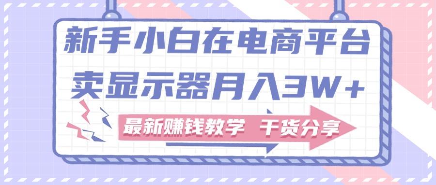 新手小白如何做到在电商平台卖显示器月入3W+，最新赚钱教学干货分享-有道资源网