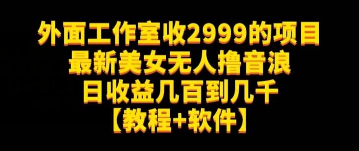 外面工作室收2999的项目最新美女无人撸音浪日收益几百到几千【教程+软件】（仅揭秘）-有道资源网