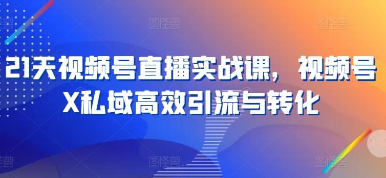 21天视频号直播实战课，视频号X私域高效引流与转化-有道资源网