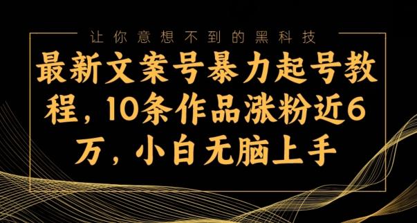 最新文案号暴力起号教程，10条作品涨粉近6万，小白无脑上手-有道资源网