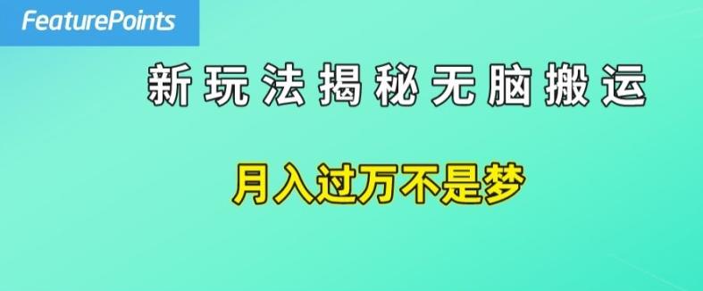 简单操作，每天50美元收入，搬运就是赚钱的秘诀【揭秘】-有道资源网