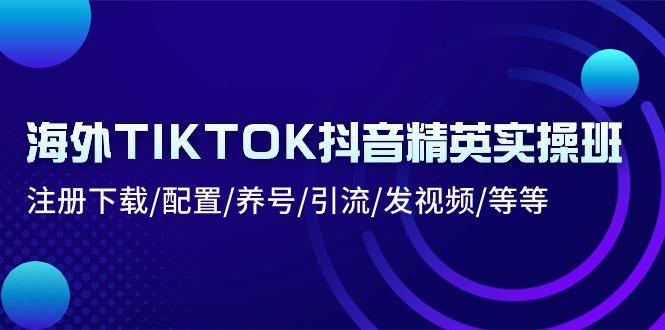 海外TIKTOK抖音精英实操班：注册下载/配置/养号/引流/发视频/等等-有道资源网