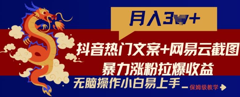 抖音热门文案+网易云截图暴力涨粉拉爆收益玩法，小白无脑操作，简单易上手【揭秘】-有道资源网