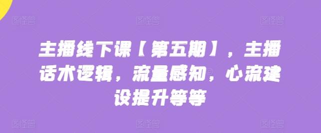 主播线下课【第五期】，主播话术逻辑，流量感知，心流建设提升等等-有道资源网