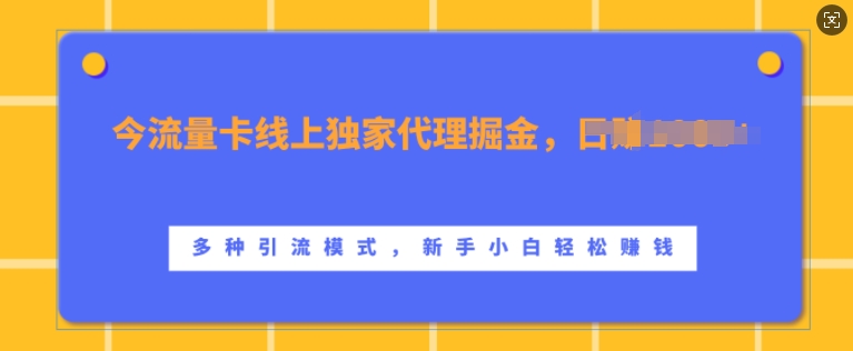 流量卡线上独家代理掘金，日入1k+ ，多种引流模式，新手小白轻松上手【揭秘】-有道资源网