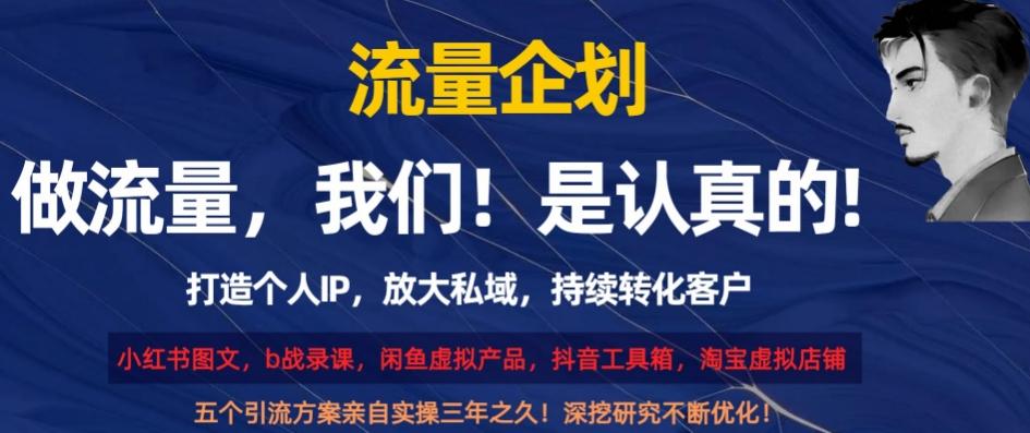 流量企划，打造个人IP，放大私域，持续转化客户【揭秘】-有道资源网