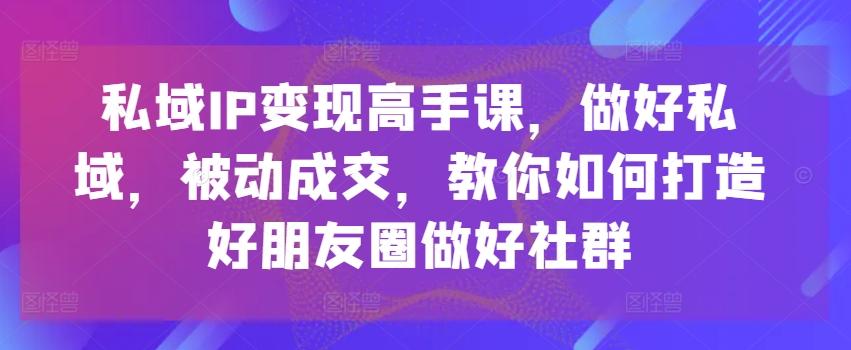 私域IP变现高手课，做好私域，被动成交，教你如何打造好朋友圈做好社群-有道资源网