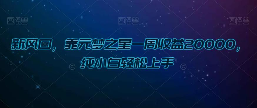 新风口，靠元梦之星一周收益20000，纯小白轻松上手-有道资源网