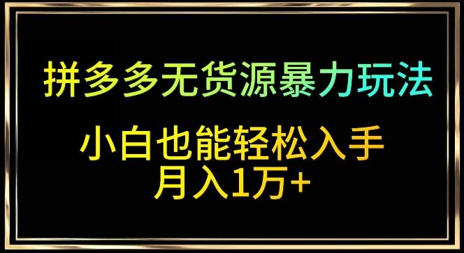 拼多多无货源暴力玩法，全程干货，小白也能轻松入手，月入1万+【揭秘】-有道资源网