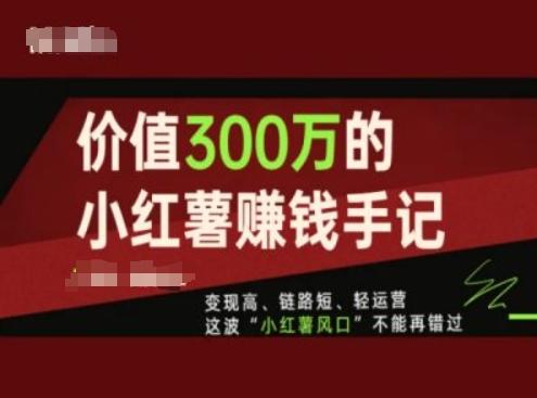 价值300万的小红书赚钱手记，变现高、链路短、轻运营，这波“小红薯风口”不能再错过-有道资源网