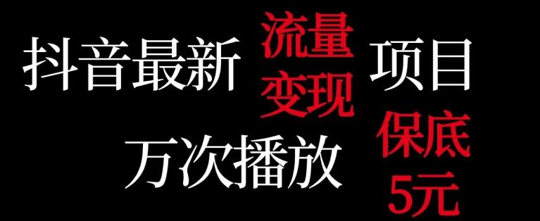 抖音流量变现，万次播放保底5元，额外收入-有道资源网