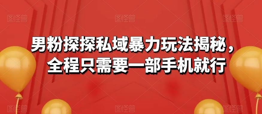 男粉探探私域暴力玩法揭秘，全程只需要一部手机就行-有道资源网