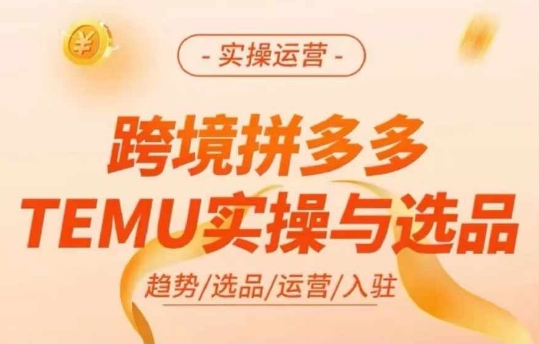 跨境拼多多TEMU实操与选品，多多temu跨境选品运营实操-有道资源网