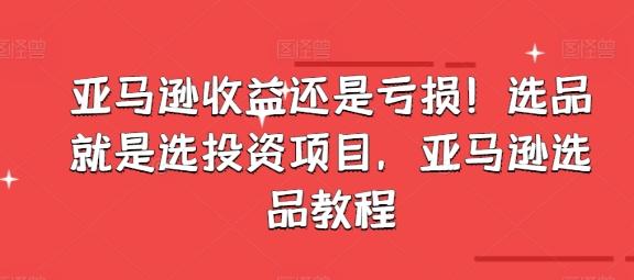 亚马逊收益还是亏损！选品就是选投资项目，亚马逊选品教程-有道资源网