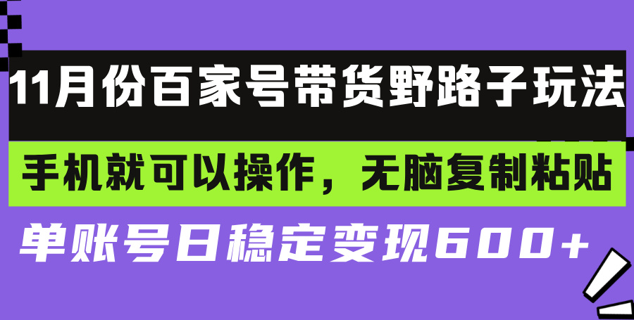 百家号带货野路子玩法 手机就可以操作，无脑复制粘贴 单账号日稳定变现…-有道资源网