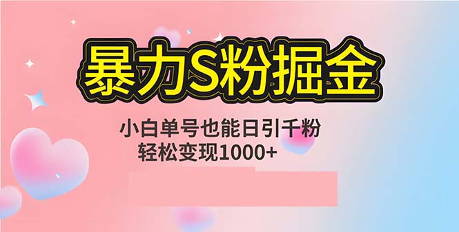 单人单机日引千粉，变现1000+，S粉流量掘金计划攻略-有道资源网