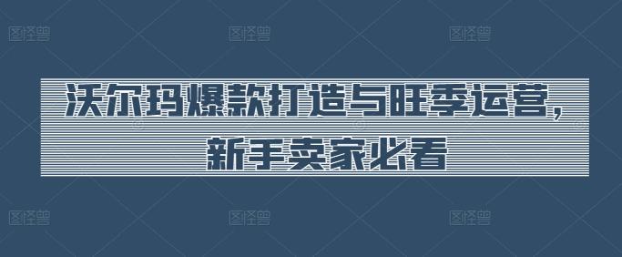 沃尔玛爆款打造与旺季运营，新手卖家必看-有道资源网