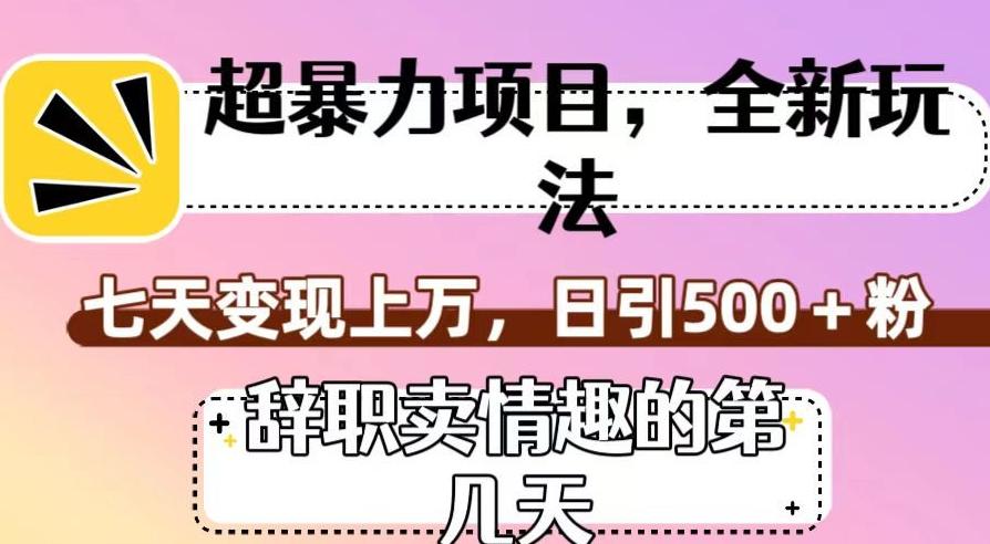 超暴利项目，全新玩法（辞职卖情趣的第几天），七天变现上万，日引500+粉【揭秘】-有道资源网