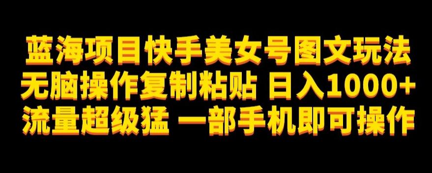 蓝海项目快手美女号图文玩法，无脑操作复制粘贴，日入1000+流量超级猛一部手机即可操作【揭秘】-有道资源网