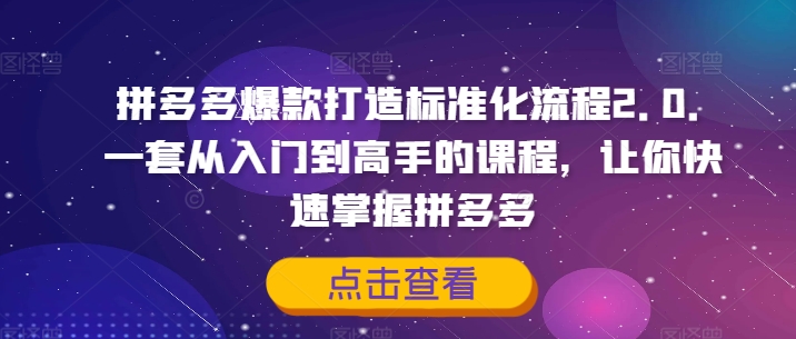 拼多多爆款打造标准化流程2.0，一套从入门到高手的课程，让你快速掌握拼多多-有道资源网