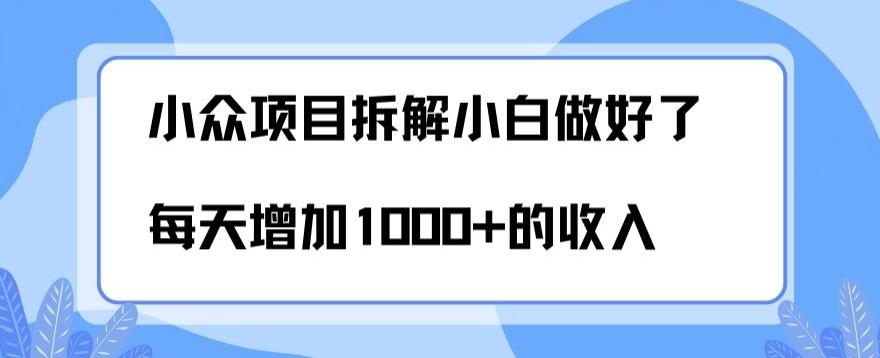 小众项目拆解，小白做好了每天可增加1000多的收入-有道资源网