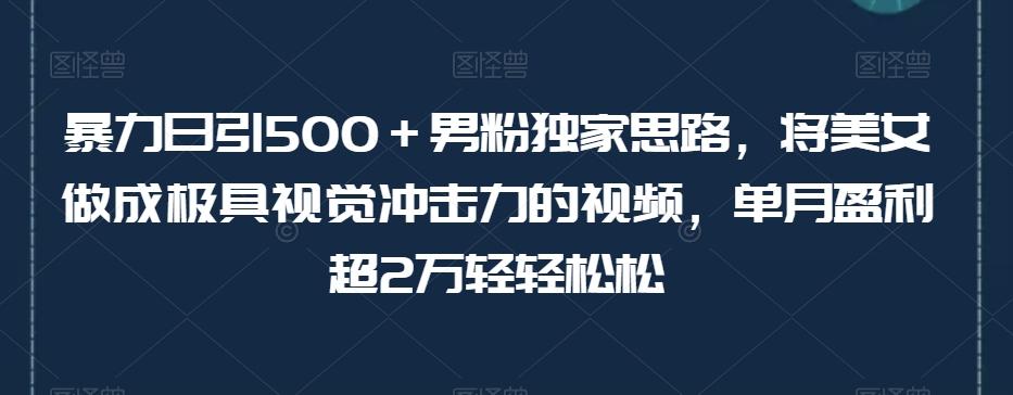 暴力日引500＋男粉独家思路，将美女做成极具视觉冲击力的视频，单月盈利超2万轻轻松松-有道资源网