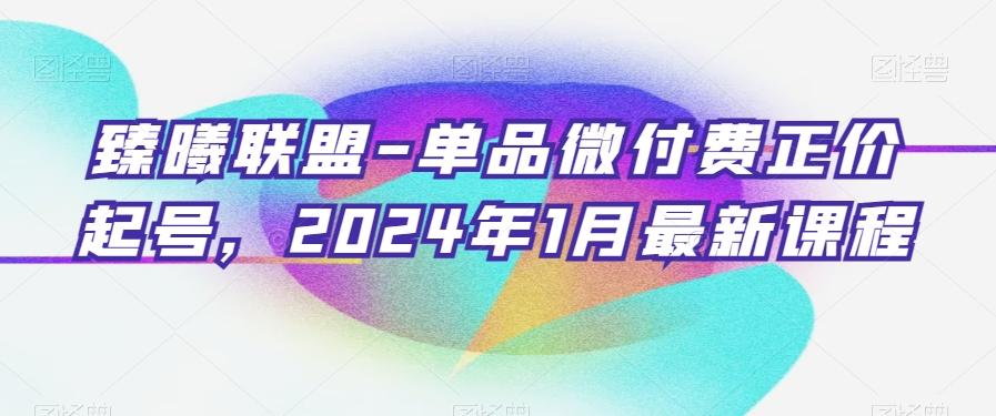 臻曦联盟-单品微付费正价起号，2024年1月最新课程-有道资源网