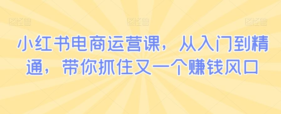 小红书电商运营课，从入门到精通，带你抓住又一个赚钱风口-有道资源网