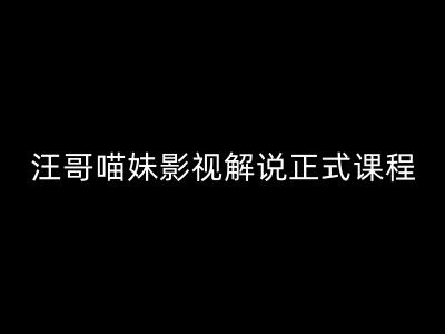 汪哥影视解说正式课程：剪映/PR教学/视解说剪辑5大黄金法则/全流程剪辑7把利器等等-有道资源网