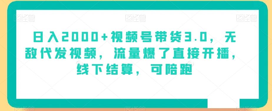 日入2000+视频号带货3.0，无敌代发视频，流量爆了直接开播，线下结算，可陪跑-有道资源网