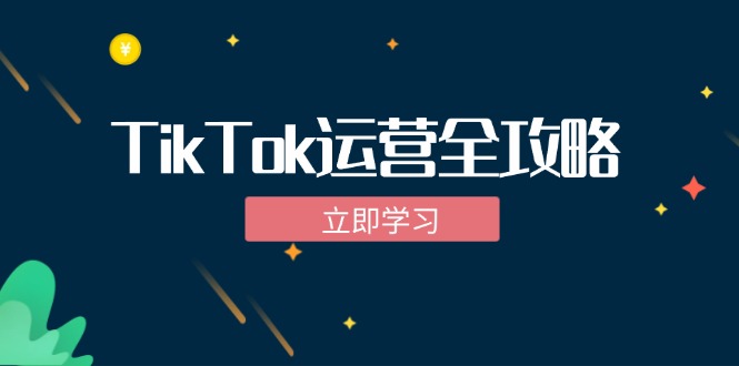 TikTok实战运营全攻略：从下载软件到变现，抖音海外版实操教程-有道资源网