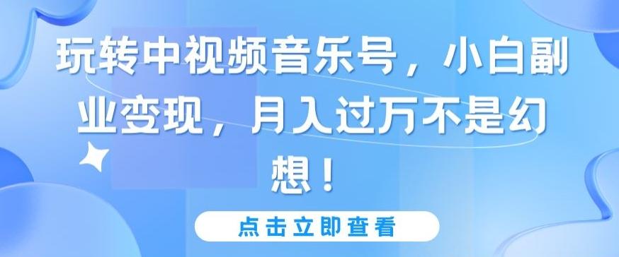 玩转中视频音乐号，小白副业变现，月入过万不是幻想【揭秘】-有道资源网