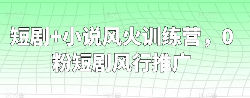 短剧+小说风火训练营，0粉短剧风行推广-有道资源网