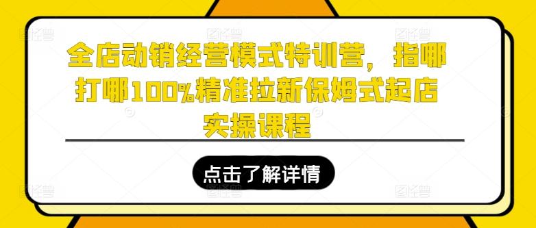 全店动销经营模式特训营，指哪打哪100%精准拉新保姆式起店实操课程-有道资源网