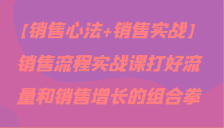 【销售心法+销售实战】销售流程实战课打好流量和销售增长的组合拳-有道资源网