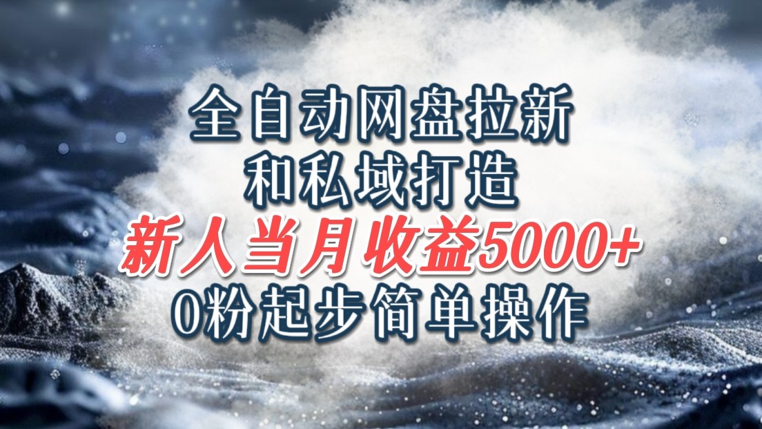 全自动网盘拉新和私域打造，0粉起步简单操作，新人入门当月收益5000以上-有道资源网