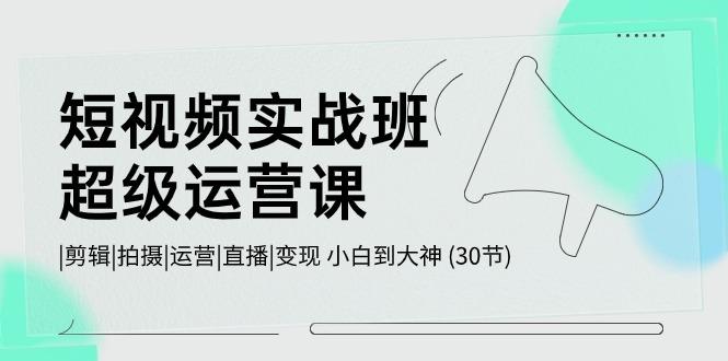 短视频实战班超级运营课 |剪辑|拍摄|运营|直播|变现 小白到大神 (30节)-有道资源网