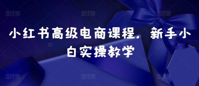 小红书高级电商课程，新手小白实操教学-有道资源网