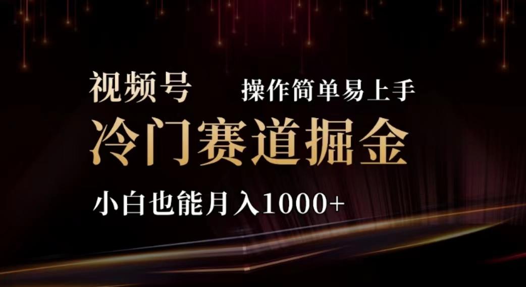 2024视频号冷门赛道掘金，操作简单轻松上手，小白也能月入1000+-有道资源网