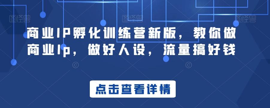 商业IP孵化训练营新版，教你做商业Ip，做好人设，流量搞好钱-有道资源网