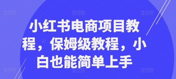 小红书电商项目教程，保姆级教程，小白也能简单上手-有道资源网