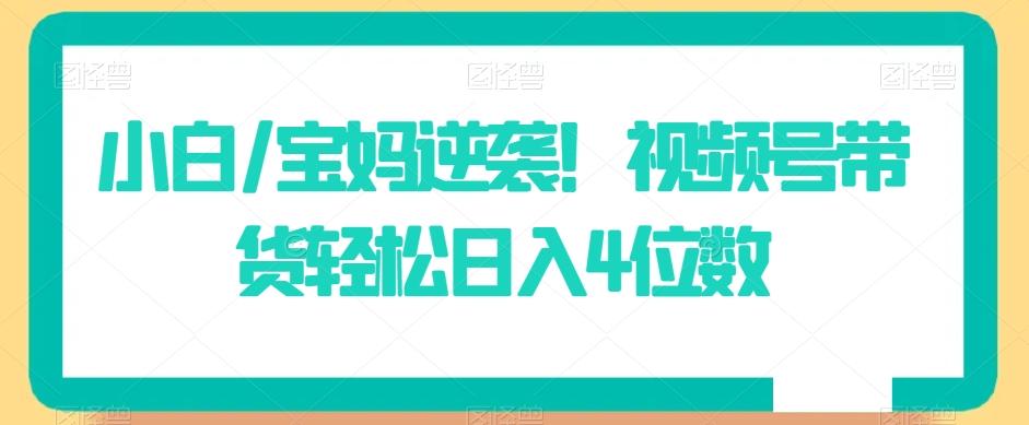 小白/宝妈逆袭！视频号带货轻松日入4位数【揭秘】-有道资源网