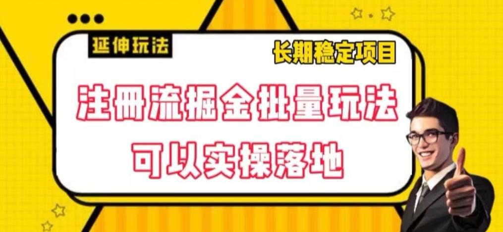 注册流掘金批量玩法，可以实操落地【揭秘】-有道资源网