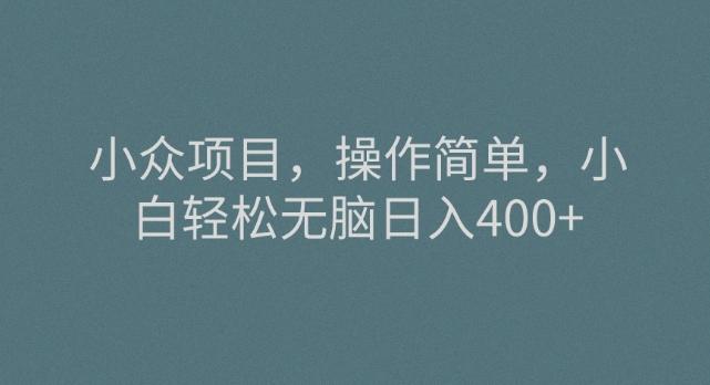 小众项目，操作简单，小白轻松无脑日入400+-有道资源网