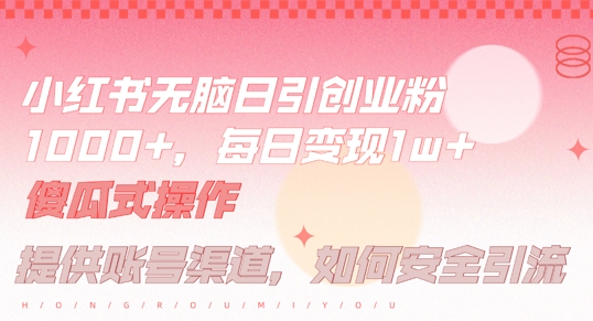 小红书无脑每日引流创业粉500+，小白每天只花半小时，躺赚长尾收益【揭秘】-有道资源网