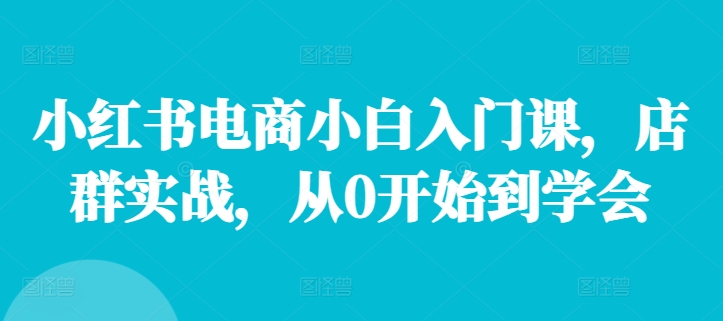 小红书电商小白入门课，店群实战，从0开始到学会-有道资源网