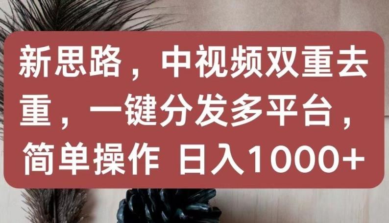 新思路，中视频双重去重，一键分发多平台，简单操作，日入1000+【揭秘】-有道资源网