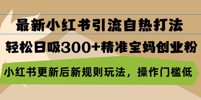 最新小红书引流自热打法，轻松日吸300+精准宝妈创业粉，小红书更新后新…-有道资源网