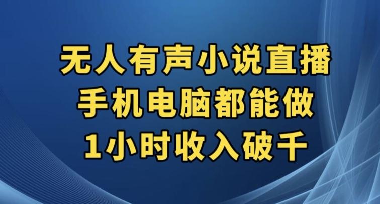 抖音无人有声小说直播，手机电脑都能做，1小时收入破千【揭秘】-有道资源网